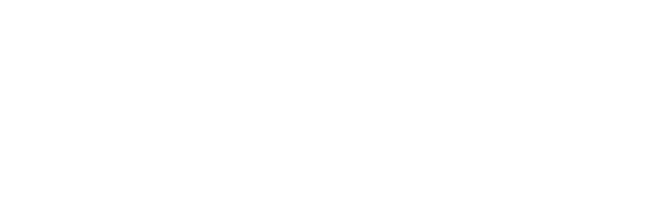 wagners druckbar Logo